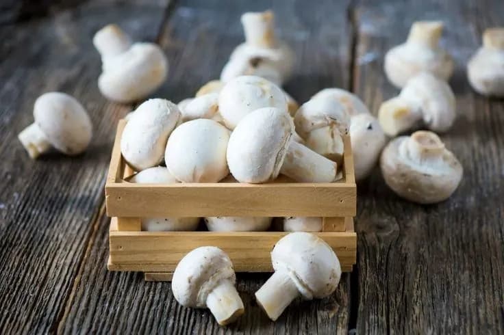White button mushrooms in a small wooden crate